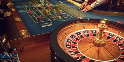 Tiger 365 Live Casino Interface